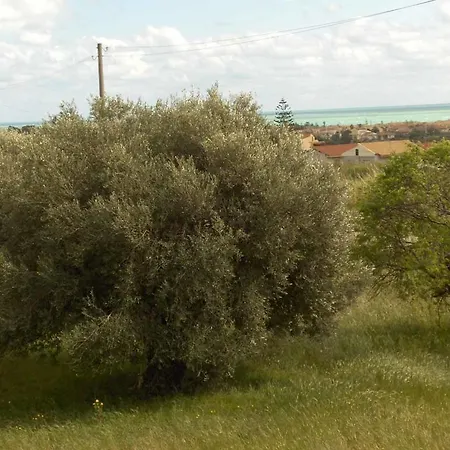 Casa Ciarciolia